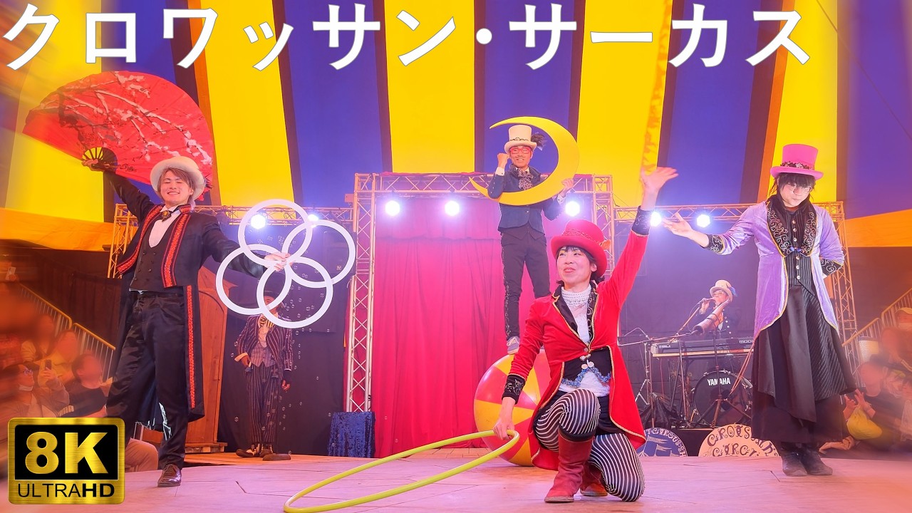 Croissant Circus] Hirosaki Cherry Blossom Festival Final