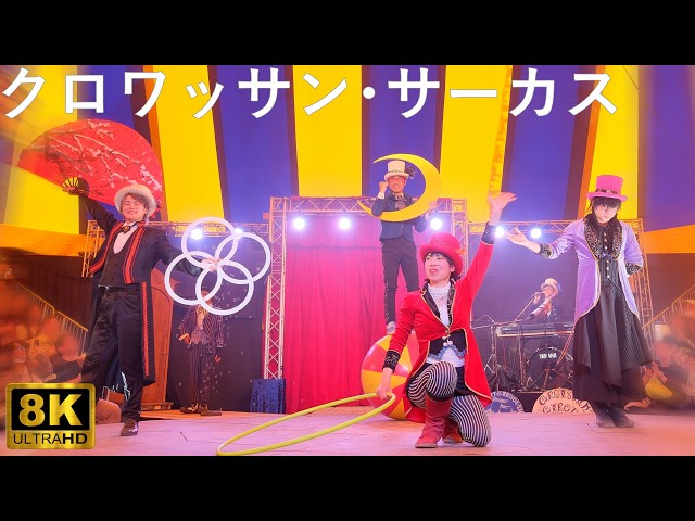 Croissant Circus] Hirosaki Cherry Blossom Festival Final