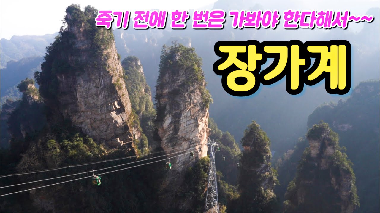 (해외🇨🇳)중국 장가계 국가 삼림공원/유네스코 세계자연유산/하늘로 치솟은 기둥 원가계와 천자산/십리화랑/금편계곡/장가계대협곡/황룡동굴/아바타 촬영지 황석채(중국여행 4편)