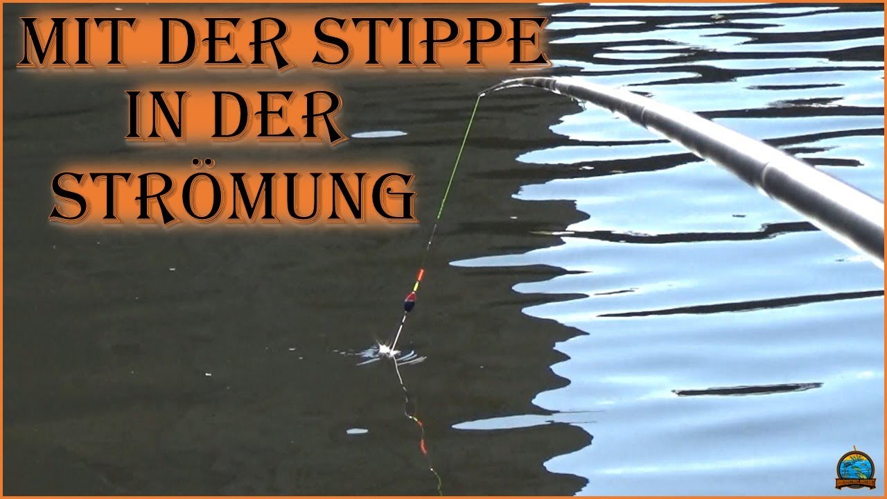 Stippe Mit der Stippe in der Strömung - YouTube