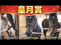 【皐月賞】上原佑紀厩舎3頭をイッキ見せ!グリーンエナジー、フォルテアンジェロ、ライヒスアドラー
