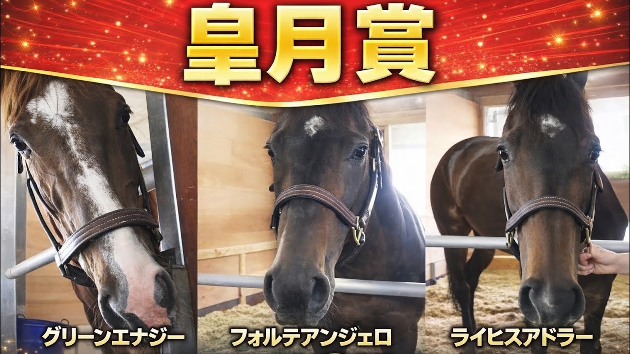 Derby Contenders] A Look at All 3 Horses from the Yuki Uehara
