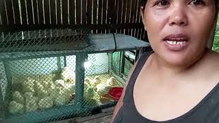 Ayong Hapon Mag Tobong Ta Sa Ato Piso