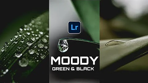 How To Create Moody Green & Black Tone in Lightroom Mobile | Lightroom Mobile Tutorial