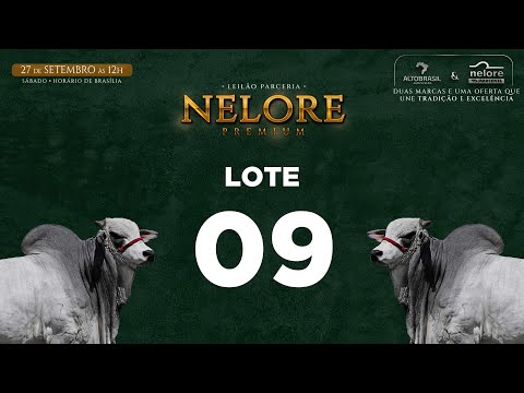 LOTE 09   MNS 13408
