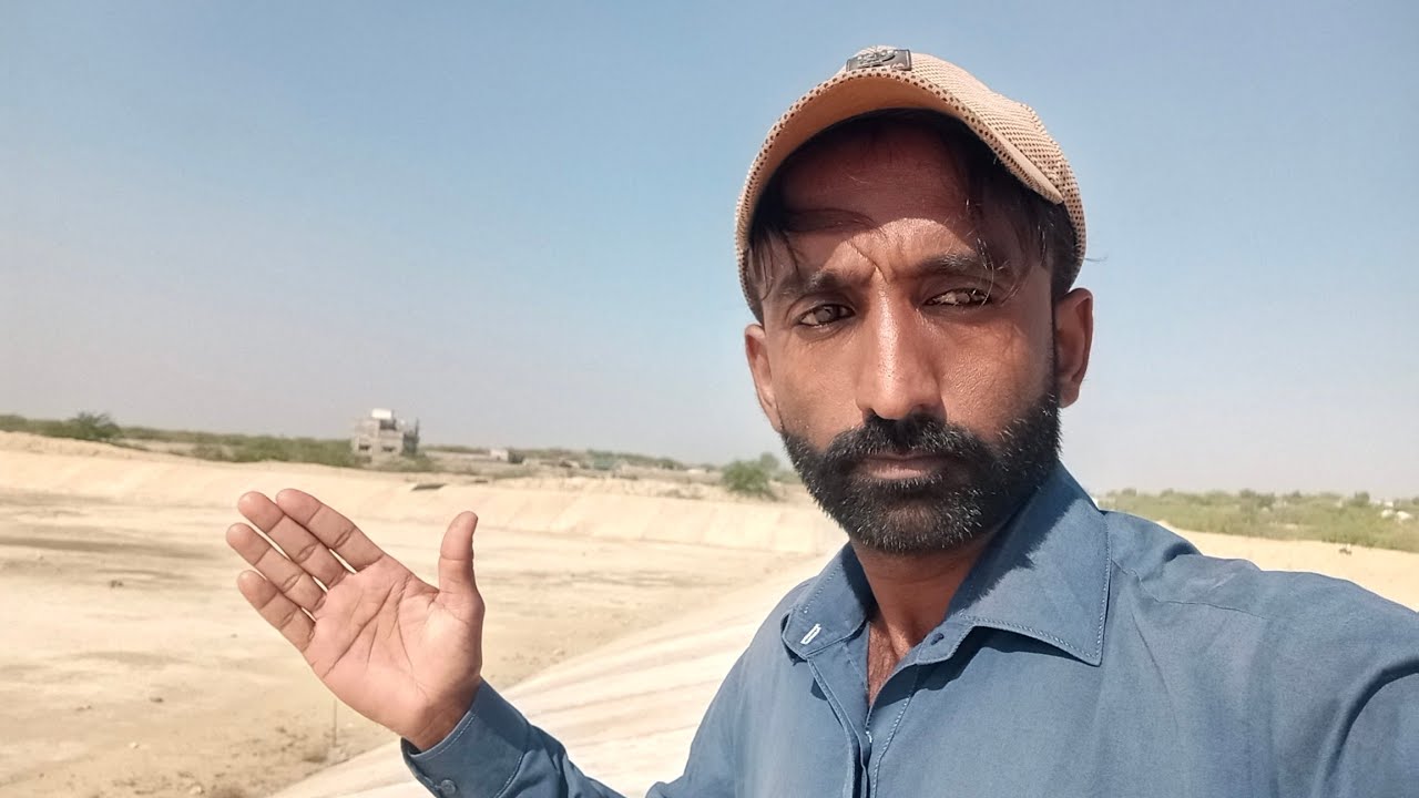 Wild Lore Animals is live!