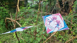 FINDING KITES, KITES, BROKEN KITES 13