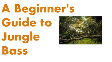 A Beginner