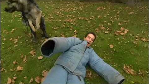 RMR: Rick and Police Dogs