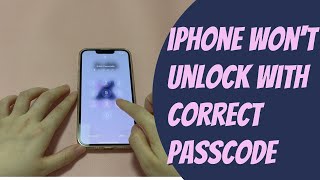 My Iphone Wont Unlock With Corrrect Passcode. What Should I Do?