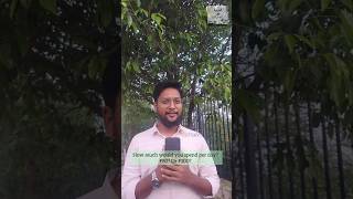 Learn Arabic With 1-To-1 Trainer Start For Just 67 Per Day