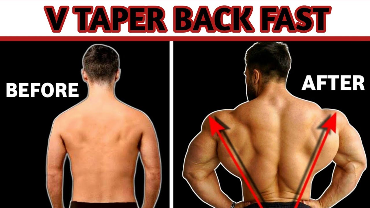 How To Build A V-taper back  V taper back best exercises 