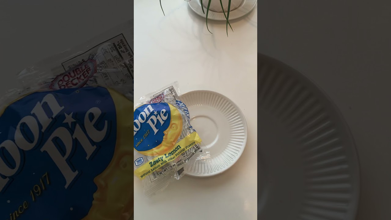 TASTE TEST TIME! Zesty Lemon Moon Pie! 🍋