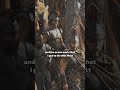 THE ODYSSEY | Story & Spectacle