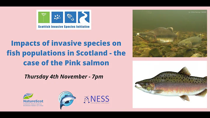 Webinar - Invasive fish and Pink Salmon in Scotland