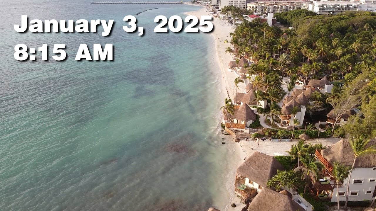 Daily Sargassum Sargasso Seaweed Report at Playa del Carmen, Mexico - January 3, 2026 