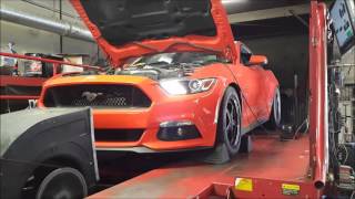 HELLION 2015 MUSTANG GT -----1416 rwhp!