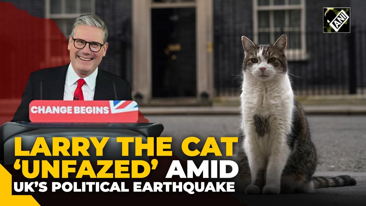 Larry the Downing Street cat remains unfazed by UK's political earthquake