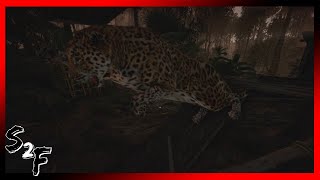 JUNGLE CAT ATTACK!!! - Let's Play Green Hell (Ep. 4)