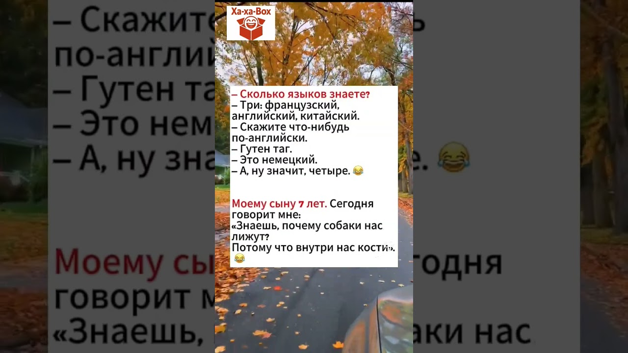 Сколько языков знаете? 😂 