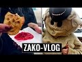 VLOG| ZAKOPANE, WALENTYNKI I PODSTĘPNY MISIEK [TypowyFitnesiak]