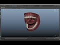 Human Jaw 3D | Maya | 3D Modeling | Substance Painter | Unity Assets | VR | XR | Quest 3
