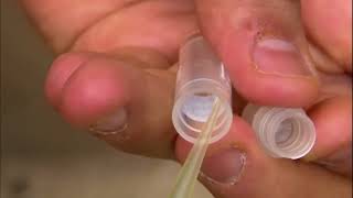 O Expediție Veninoasă - Promo Digi Animal World