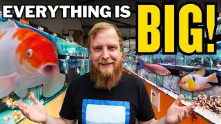 I haven't been to this Aquarium Shop in 10 years and I was Amazed!
