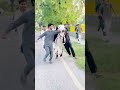 funny cow 🐮 #trending