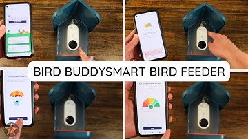 How to setup Birdbuddy Smart Brid feeder
