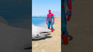 GTA V: Baby in Danger! Spider-Man Rescues from Ghost & Helps Injured Dolphin! [Short]