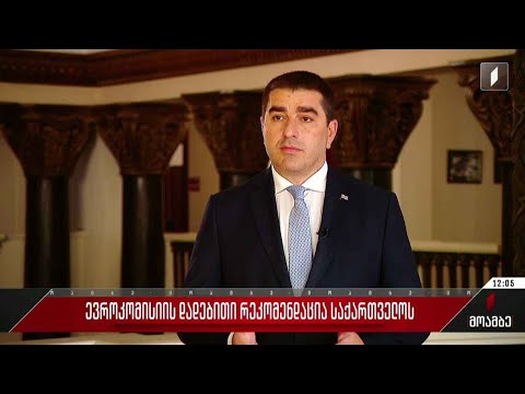 ევროკომისიის დადებითი რეკომენდაცია საქართველოს - შეფასებები