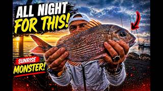 Overnight Fishing Adventure, First Light Snapper Bite