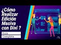 Optimiza tu WordPress: Edición Masiva con Divi
