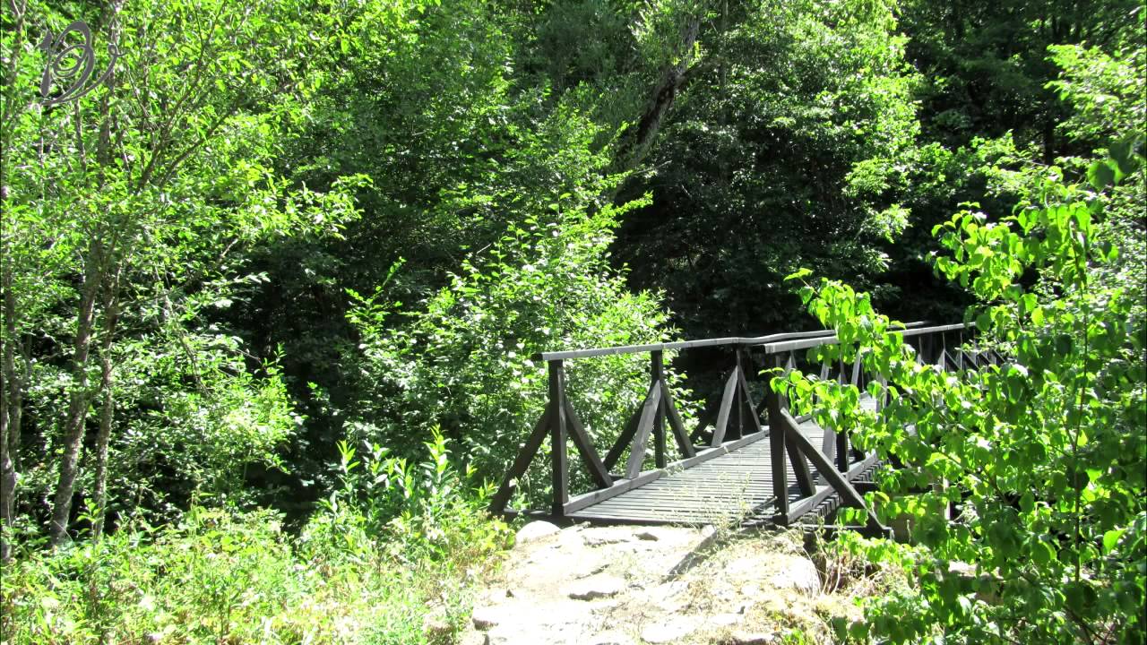 Eco Trail 'Struilitsa'' | Екопътека "Струилица"