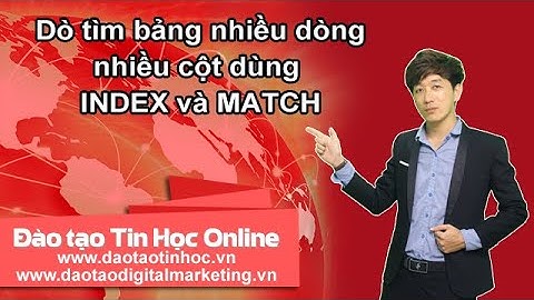 Hướng dẫn Dò tìm bảng nhiều dòng nhiều cột dùng INDEX và MATCH - Daotaotinhoc.vn