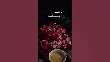 نادر الشراري تمون انته مكانك في وسط العيون بدون حقوق استوريات انستا حالات واتساب 