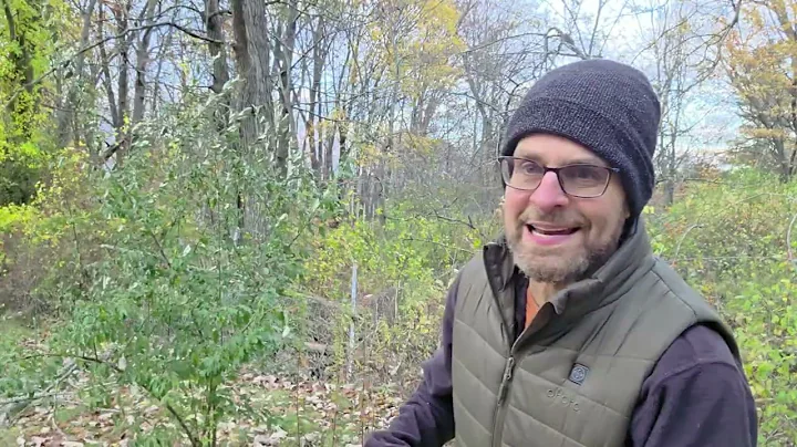 Removing Invasive Autumn Olive