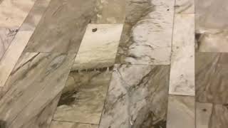 IMG 3396