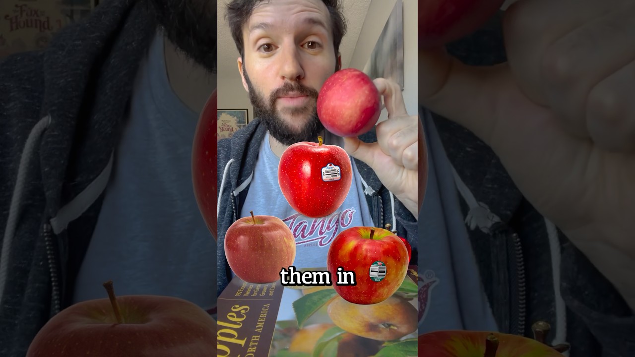 The Best Apple of All Time 