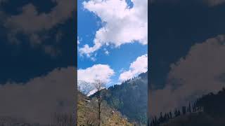nature view with listening Qur’an #quran #quranrecitation #qurantilawat #saudiaarbia #saudiprobashi
