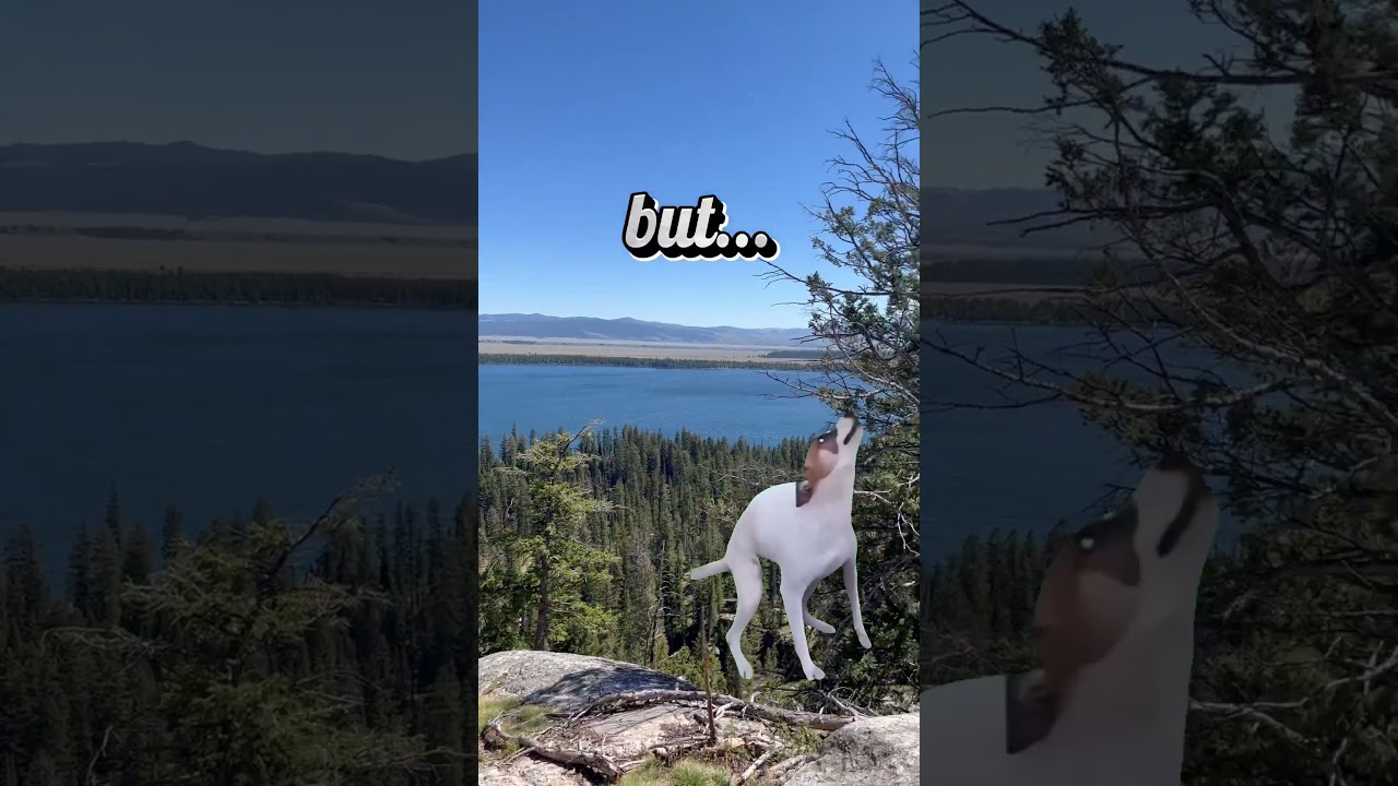 Hiking is fun until... 