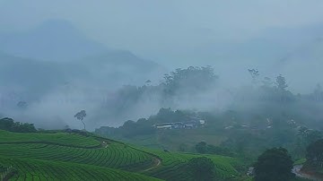 എപ്പോഴും മങ്ങാത്ത മഞ്ഞുമേഘങ്ങൾ, കാഴ്ചക്ക് ആശ്വാസം പകരുന്ന പച്ചപ്പിന്റെ സമുദ്രം… ഇതാണ് മൂന്നാർ
