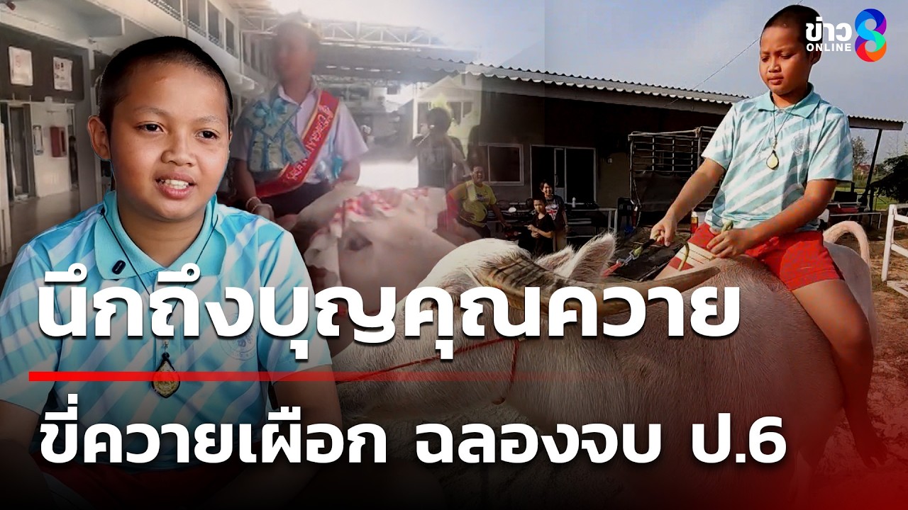 ด.ช.ขี่ควายเผือก ฉลองจบ ป.6 | 8 มี.ค. 69 | คุยข่าวเช้าช่อง8