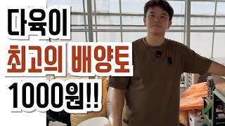 감히 말씀드립니다. 다육이 최고의 배양토!!