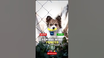 Photoshop tutorial: How to remove fence from photo #fence #photoshop #tips #photoediting #adobe