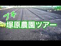 塚原農園の畑ってどんな感じ？