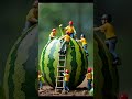 watermelon 🍉 miniature Art #clayminiature #miniatures #miniatureworld #ai #aiart