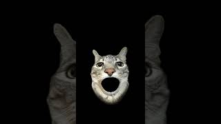 Meau