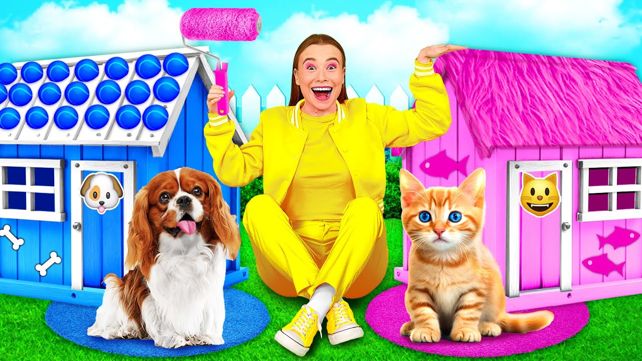 Wir bauen Haus für Haustiere von TeenTeam Challenge